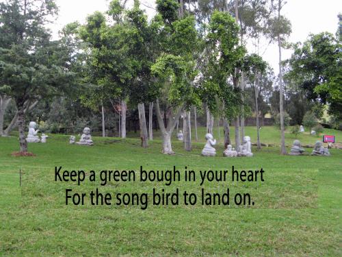 Two joys songs and birds.